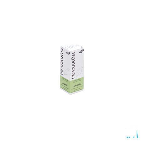 Lavandin Grosso Bio Huile Essentielle 10 ml  -  Pranarom