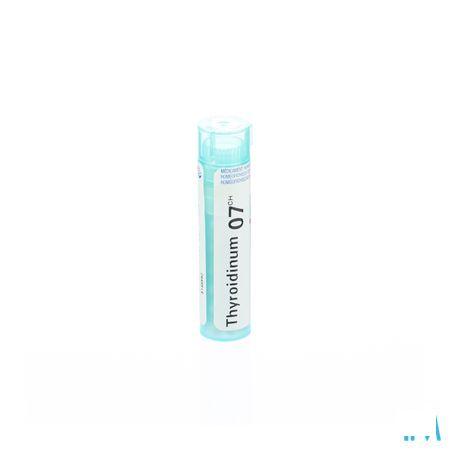 Thyroidinum 7CH Gr 4g  -  Boiron