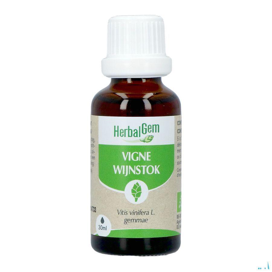 Herbalgem Vigne Bio 30 ml