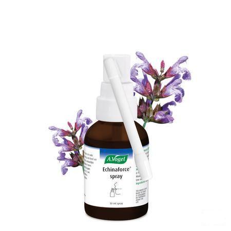 Vogel Echinaforce Keelspray 30 ml  -  A.vogel