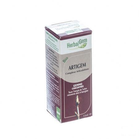 Herbalgem Artigem Complex 15 ml  -  Herbalgem