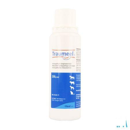 Traumeel S Us.vet Gel 250 gr  -  Heel