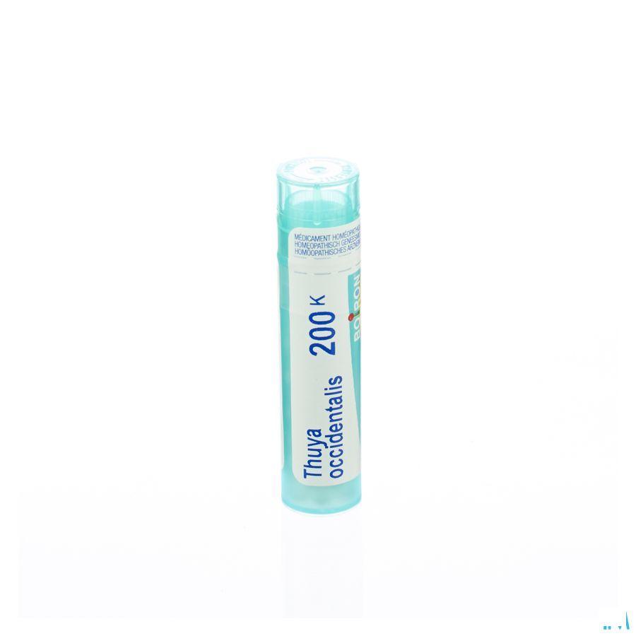 Thuya Occidentalis 200K Gr 4g  -  Boiron