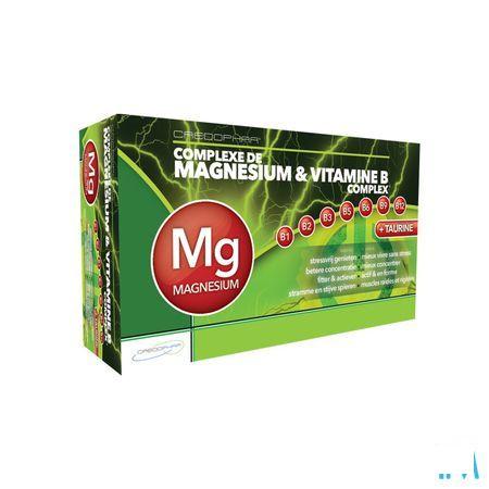 Magnesium & Vit B Complex Capsule 60