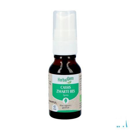 Herbalgem Zwarte Bes Bio Spray 15 ml