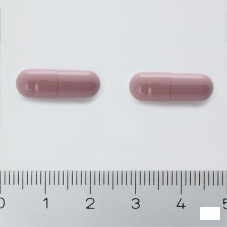 Trianal Vitis Capsule 60 X 300 mg  -  Will Pharma