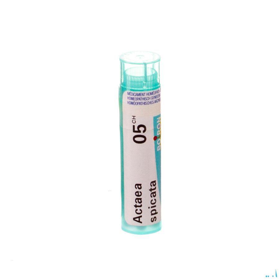 Actaea Spicata 5CH Gr 4g  -  Boiron
