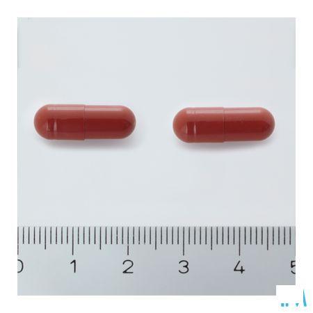 Cranberola Capsule 60 2340487