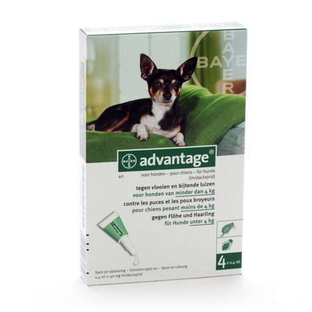 Advantage 40 Chiens 