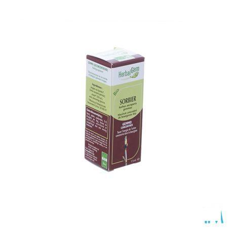 Herbalgem Lijsterbes Maceraat 15 ml  -  Herbalgem
