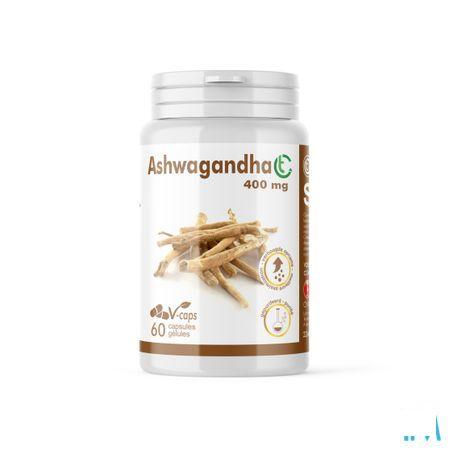 Soria Ashwagandha Ct 400 mg - 60 Capsule  -  Soria Bel