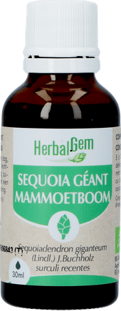 Herbalgem Mammoetboom Bio 30 ml