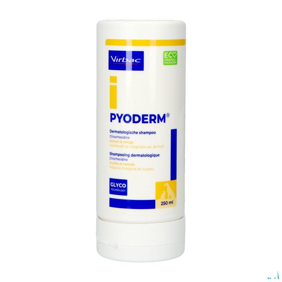 Allerderm Pyoderm Shampoo 200 ml