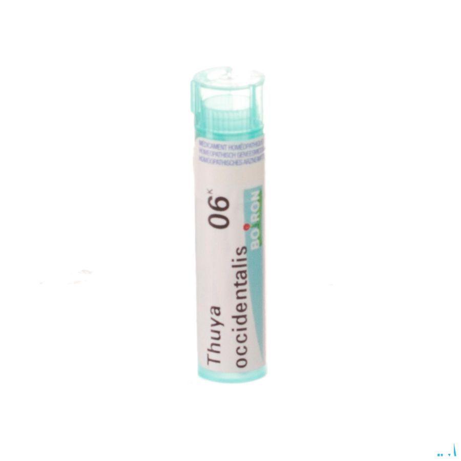 Thuya Occidentalis 6k Gr 4g  -  Boiron