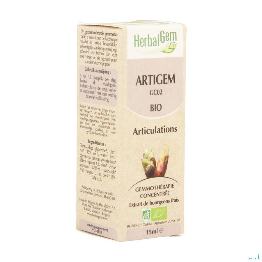 Herbalgem Artigem Complex 15 ml  -  Herbalgem