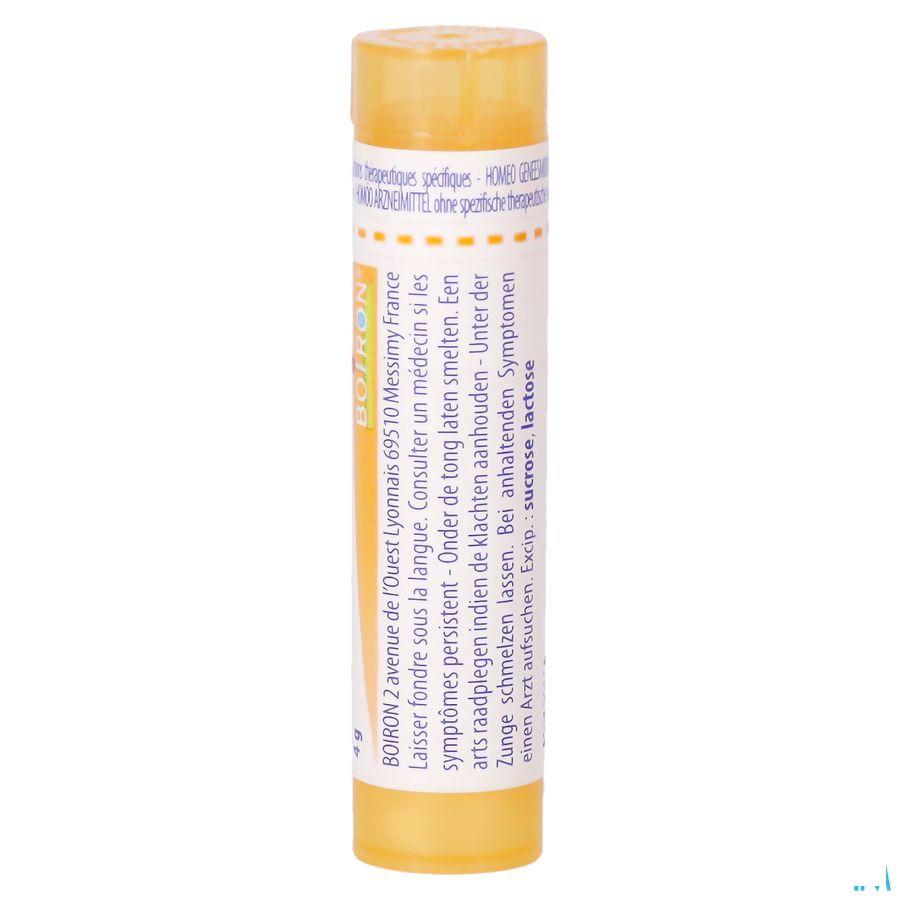 Thyroidinum 15CH Gr 4g  -  Boiron