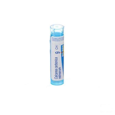 Calcarea Carbonica Ostrearum 9CH Gr 4g  -  Boiron