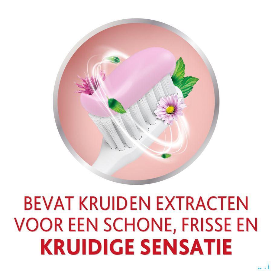 Parodontax Dentifrice Herbal Ginger Tube 75 ml