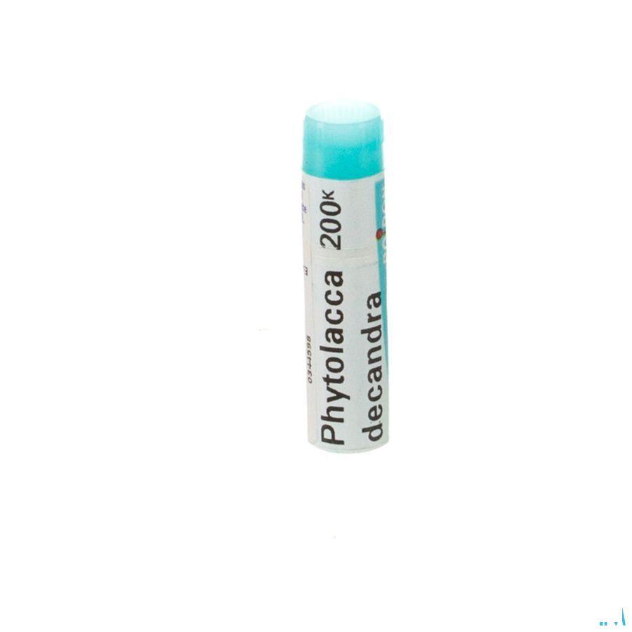 Phytolacca Decandra 200K Gl  -  Boiron