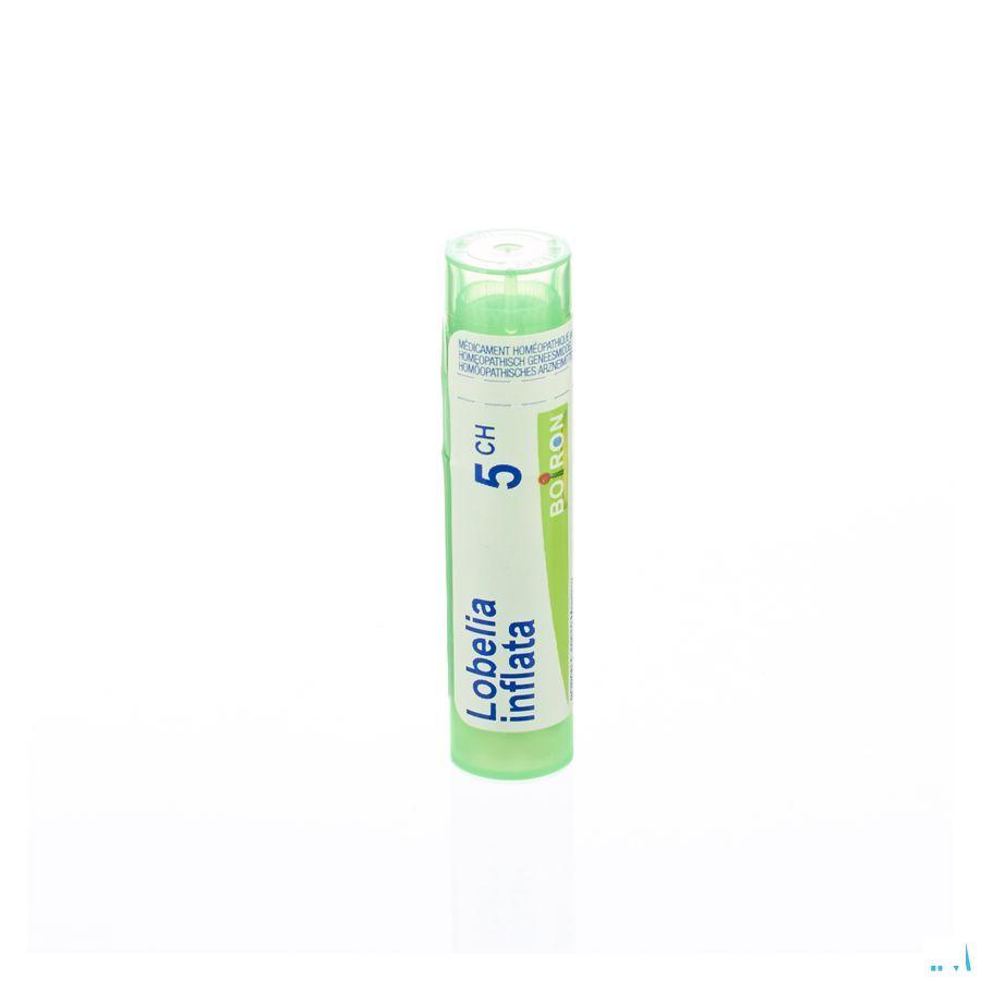 Lobelia Inflata 5CH Gr 4g  -  Boiron