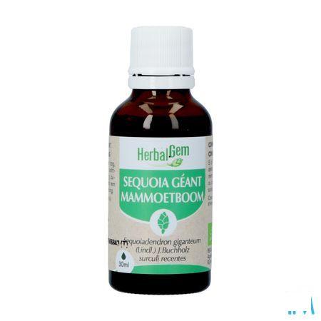 Herbalgem Mammoetboom Bio 30 ml