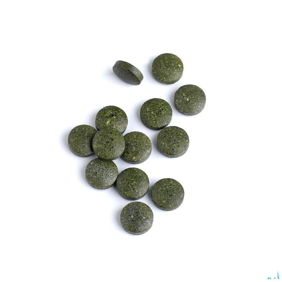 Biotics Porphyra-Zyme 90 tabletten  -  Energetica Natura