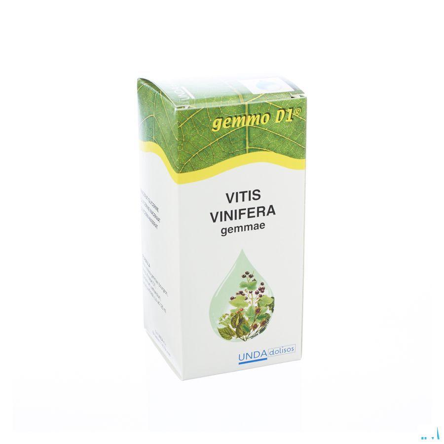 Vitis Vinifera Gemmo D1 125 ml  -  Boiron