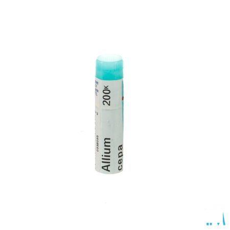 Allium Cepa 200K Gl  -  Boiron