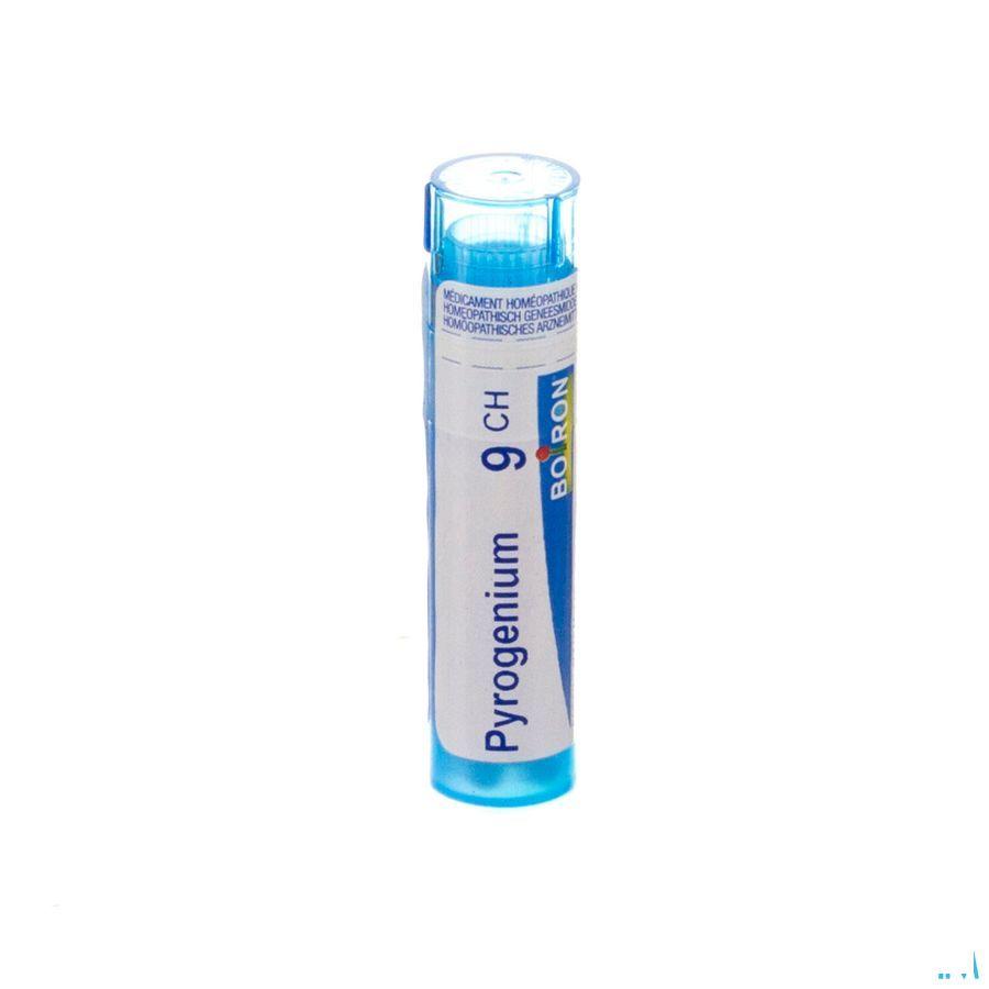 Pyrogenium 9CH Gr 4g  -  Boiron