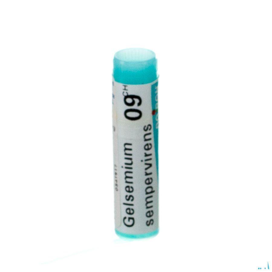 Gelsemium Sempervirens 9CH Gl  -  Boiron