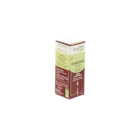 Herbalgem Framboisier Macerat 15 ml  -  Herbalgem