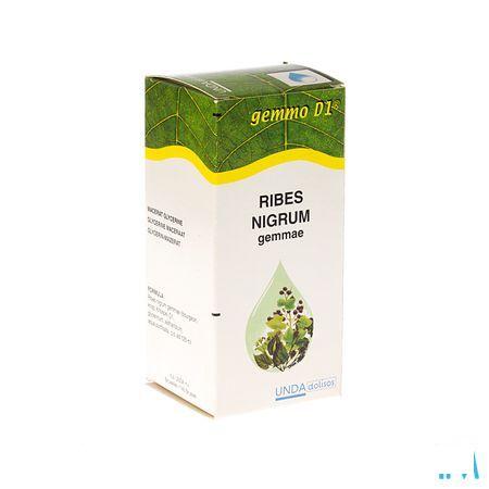 Ribes Nigrum Gemmo D1 125 ml  -  Boiron