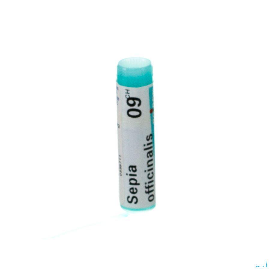 Sepia Officinalis 9CH Gl  -  Boiron