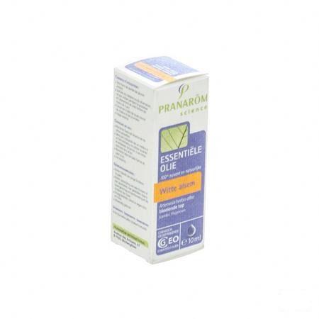 Armoise Blanche Huile Essentielle 10 ml  -  Pranarom