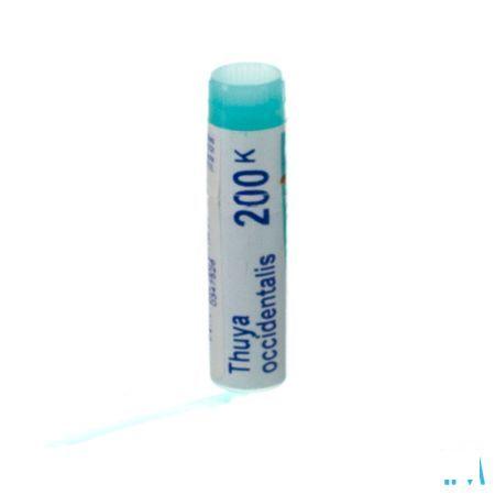 Thuya Occidentalis 200K Gl  -  Boiron