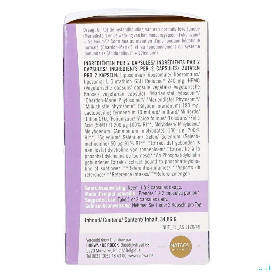 Glutathion Posome V-Caps 60  -  Ojibwa-De Roeck