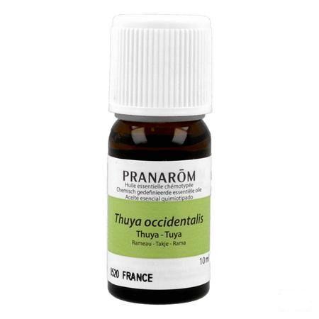 Thuya Huile Essentielle 10 ml  -  Pranarom
