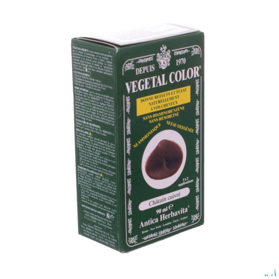 Vegetal Color Blond Cuivre 90Ml 7R