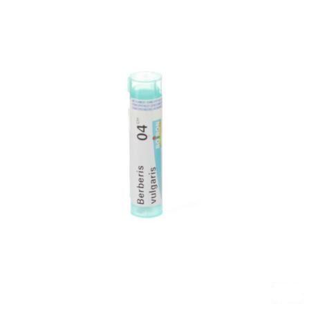 Berberis Vulgaris 4ch Gr 4g  -  Boiron