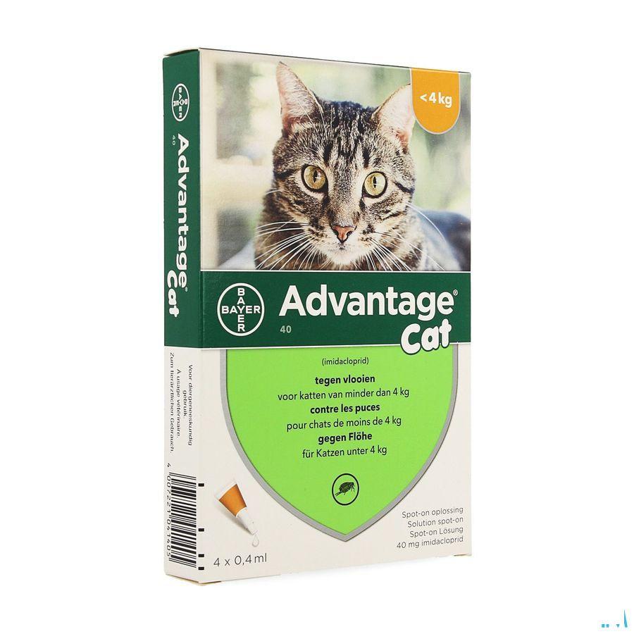 Advantage 40 Chats 