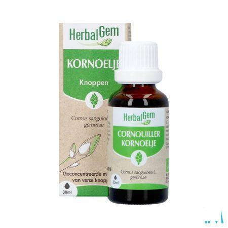 Herbalgem Cornouill Bio 30 ml