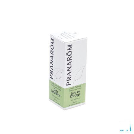Ciste Ladanifere Essentiele Olie 5 ml  -  Pranarom