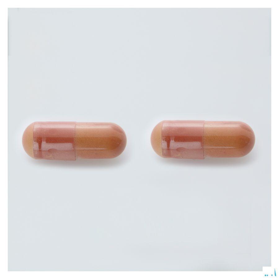 Alline Procap Capsule 30  -  Trenker