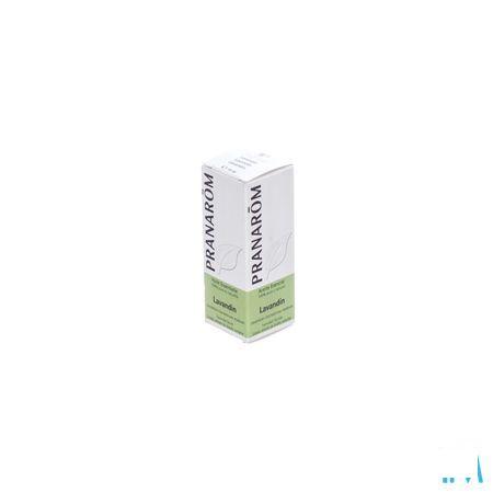 Lavandin Reydovan Essentiele Olie 10 ml  -  Pranarom