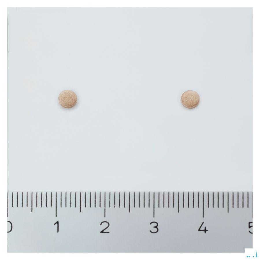 Bio-pycnogenol Capsule 60  -  Pharma Nord