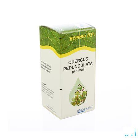 Quercus Ped.gem.gemmo D1 125 ml  -  Boiron