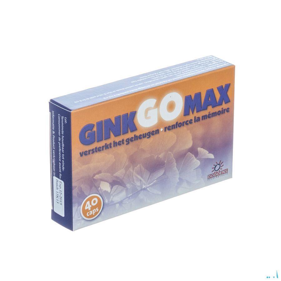 Ginkgomax Capsule 40