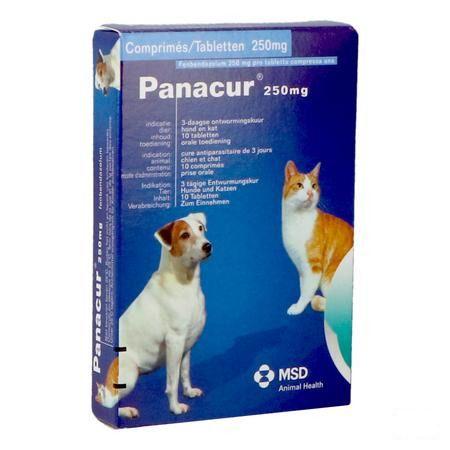 Panacur Comprimes Vet 10 X 250 mg 
