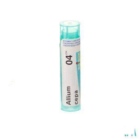 Allium Cepa 4ch Gr 4g  -  Boiron
