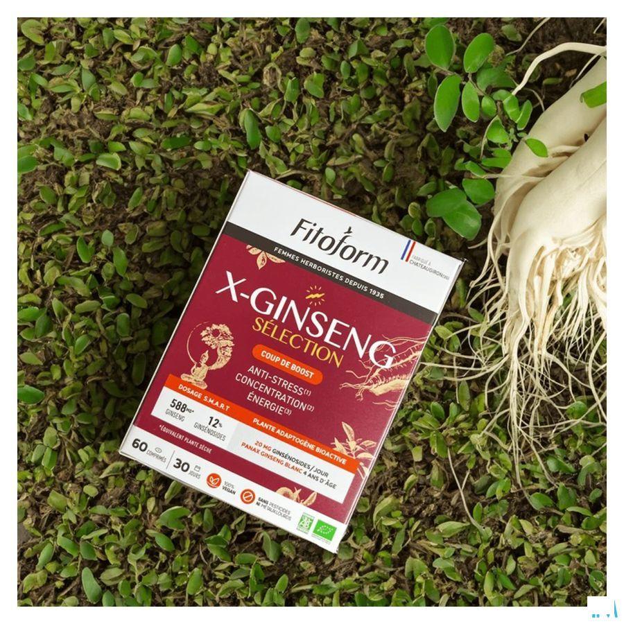 Ginseng Tabletten 60 Fitoform  -  Bioholistic Diffusion